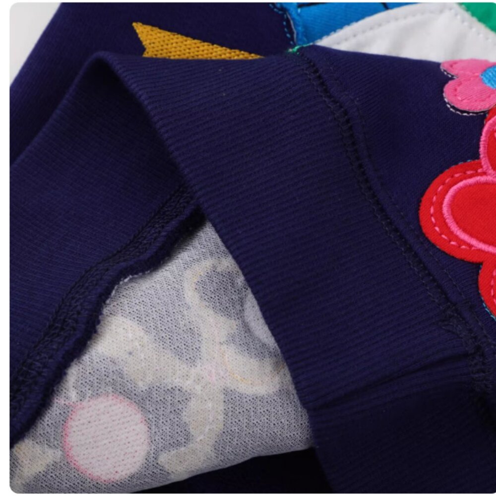 NWT Kid's Long Sleeve Embroidered Sweatshirt in Blue Garden Birds - Picture 2 of 3